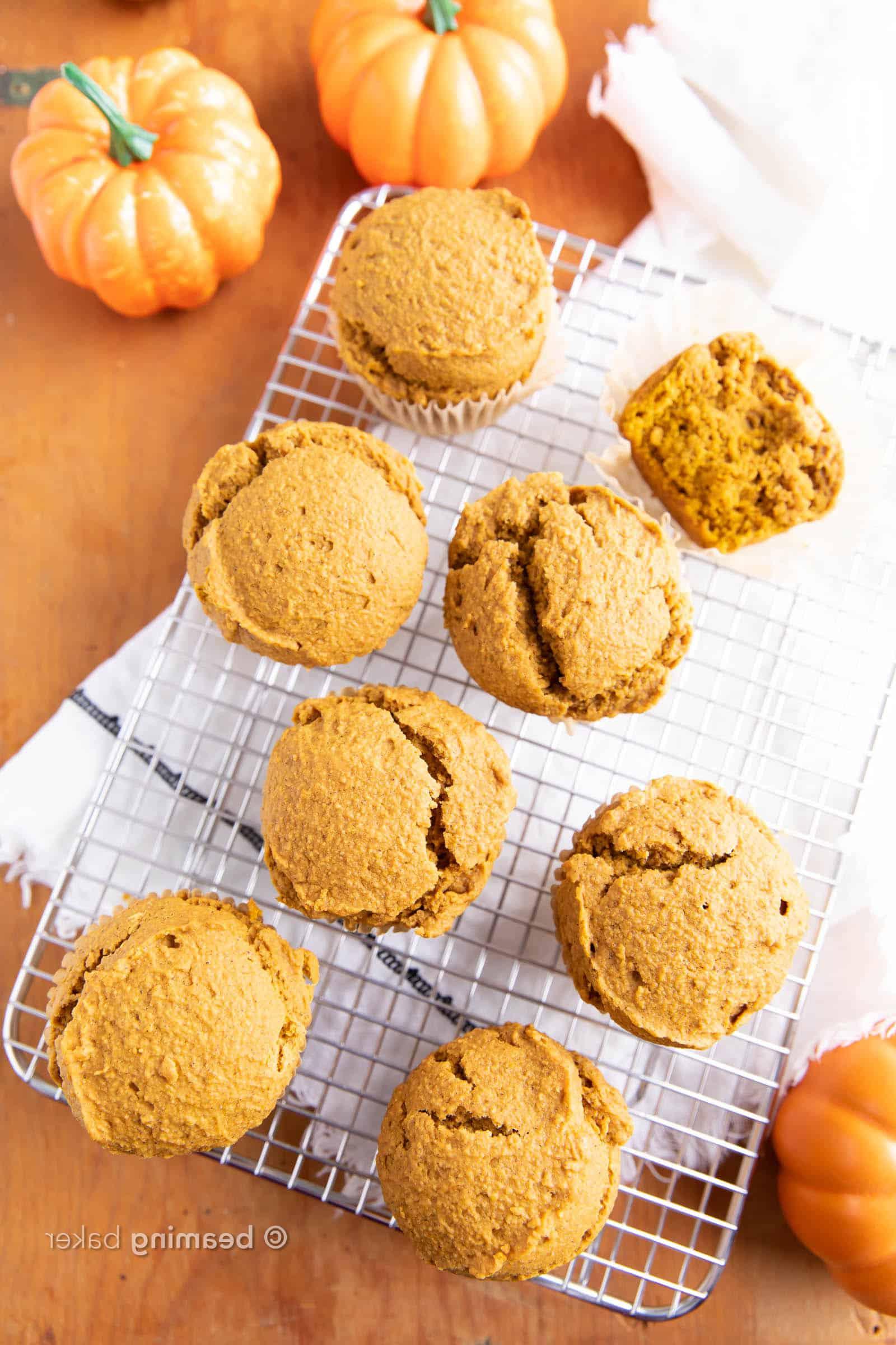 Glutenfreie Kürbis-Muffins (GF): Befriedigende, gemütliche GF Kürbis-Muffins! Das beste Rezept für glutenfreie Kürbis-Muffins – leicht süß & feucht mit köstlichem gewürzten Kürbisgeschmack! #Glutenfrei #GF #Kürbis #Muffins | Rezept auf BeamingBaker.com